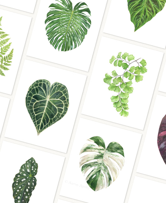Tropical Leaf Print
