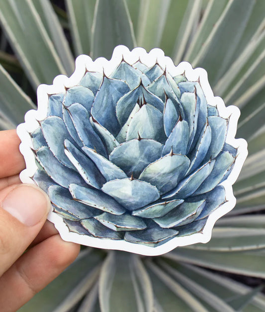 Agave Magnet