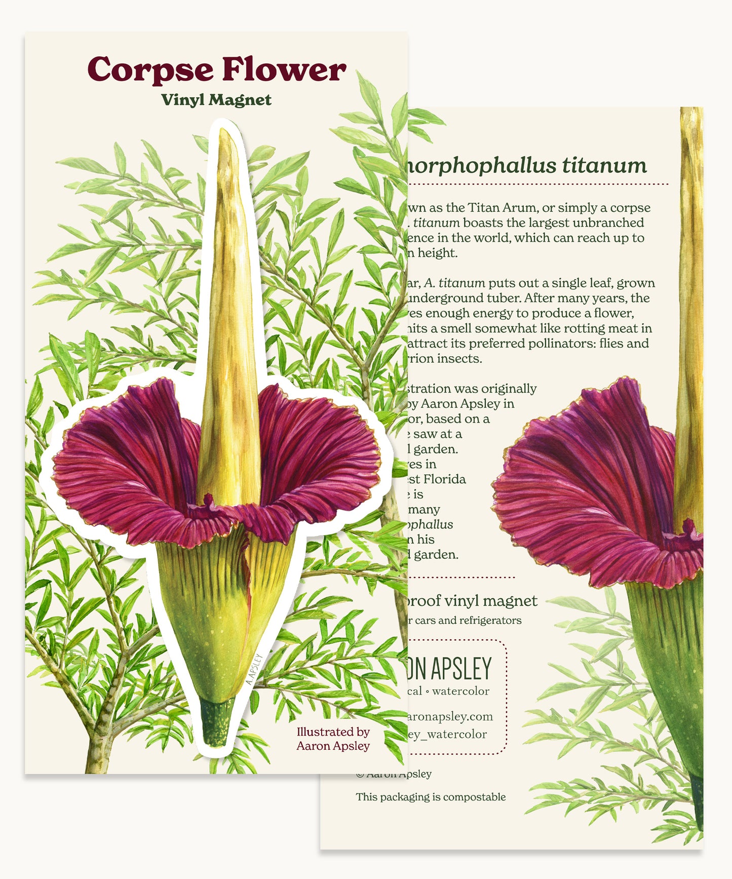 Corpse Flower Magnet