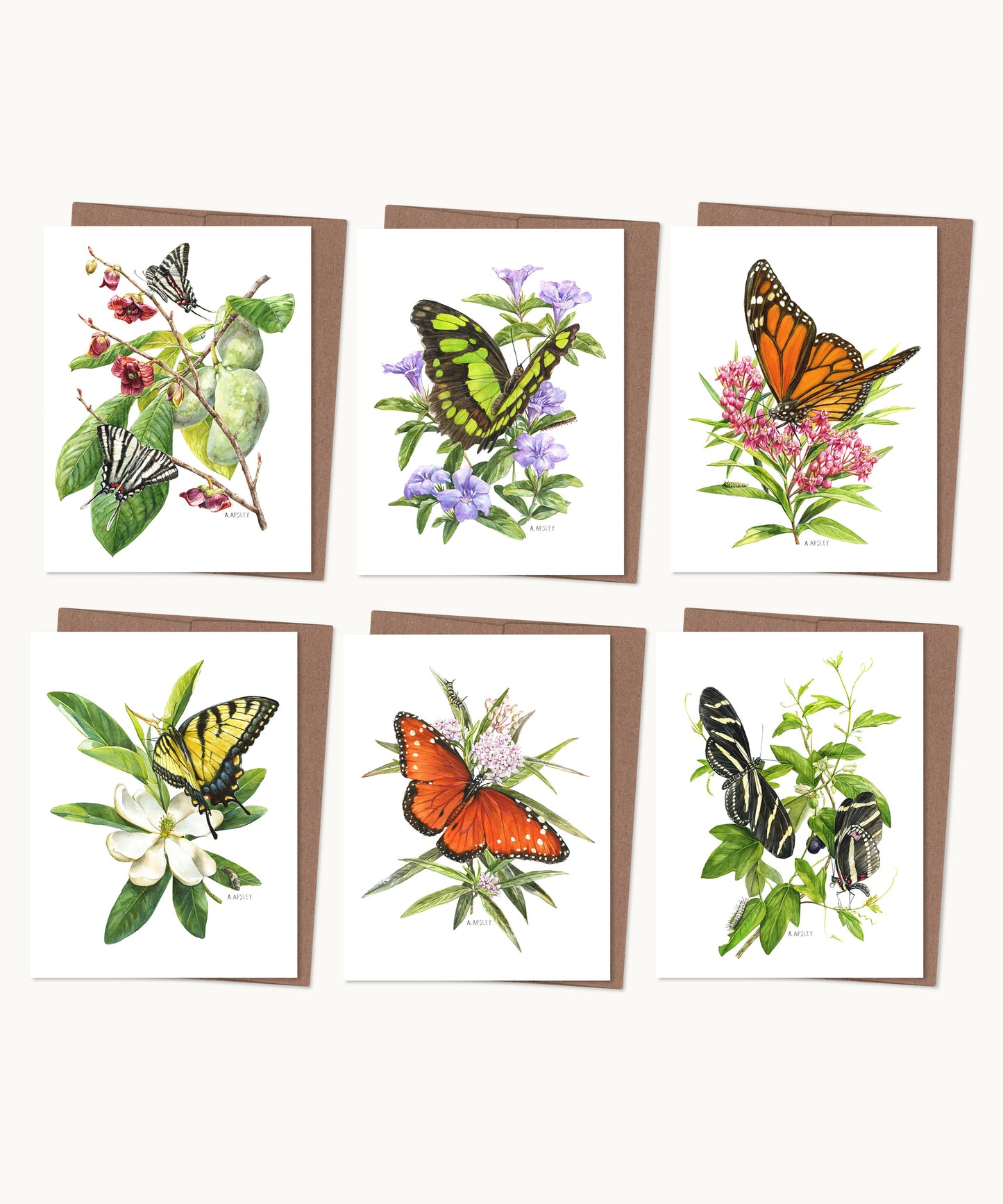 Native Butterflies Notecard Set