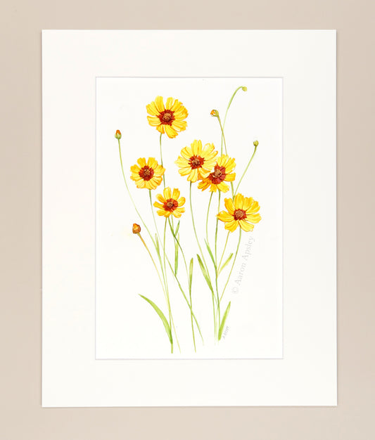 Plains Coreopsis - Original Watercolor