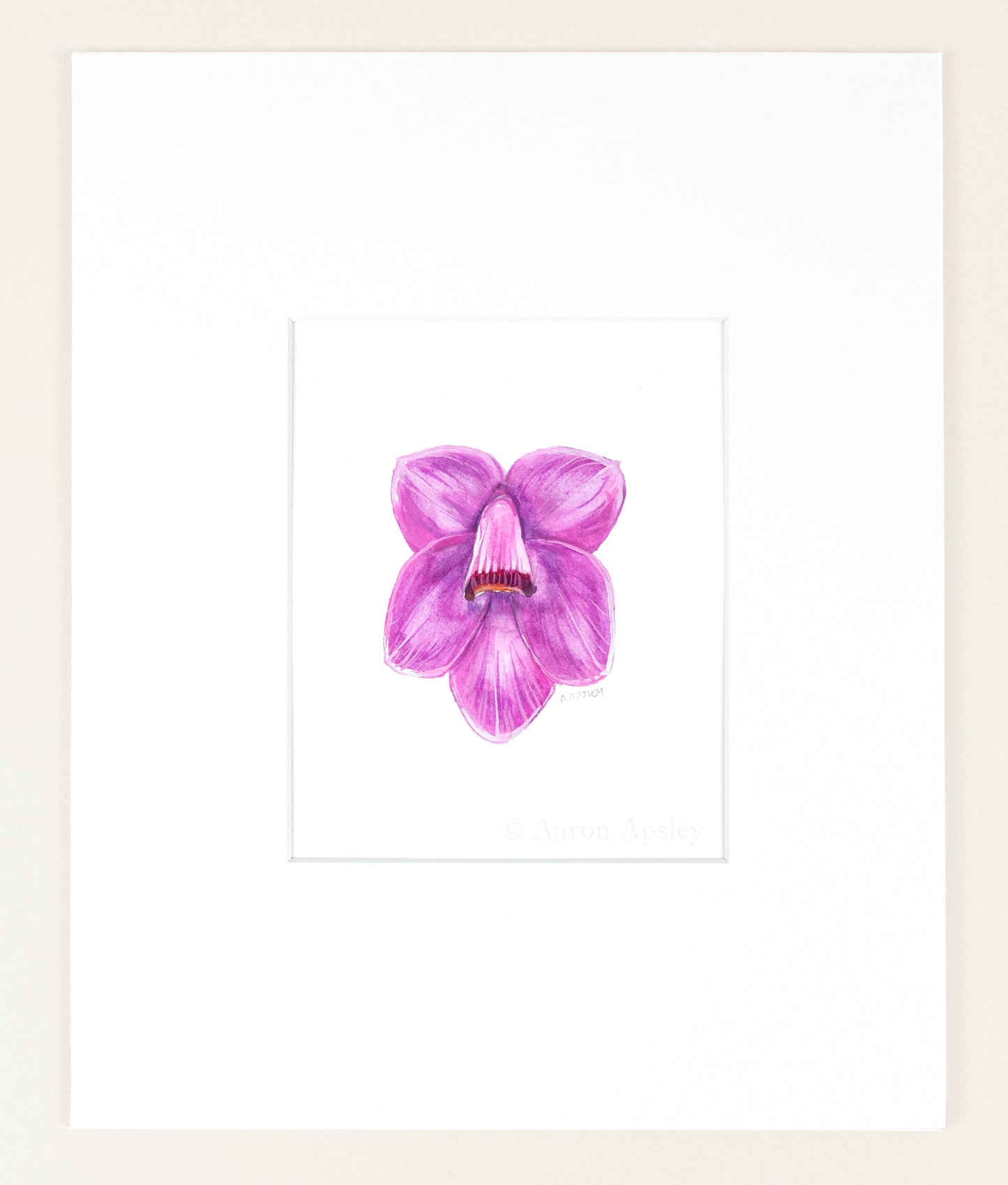 Dendrobium cuthbertsonii - Original Watercolor