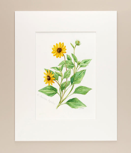 Dune Sunflowers - Original Watercolor