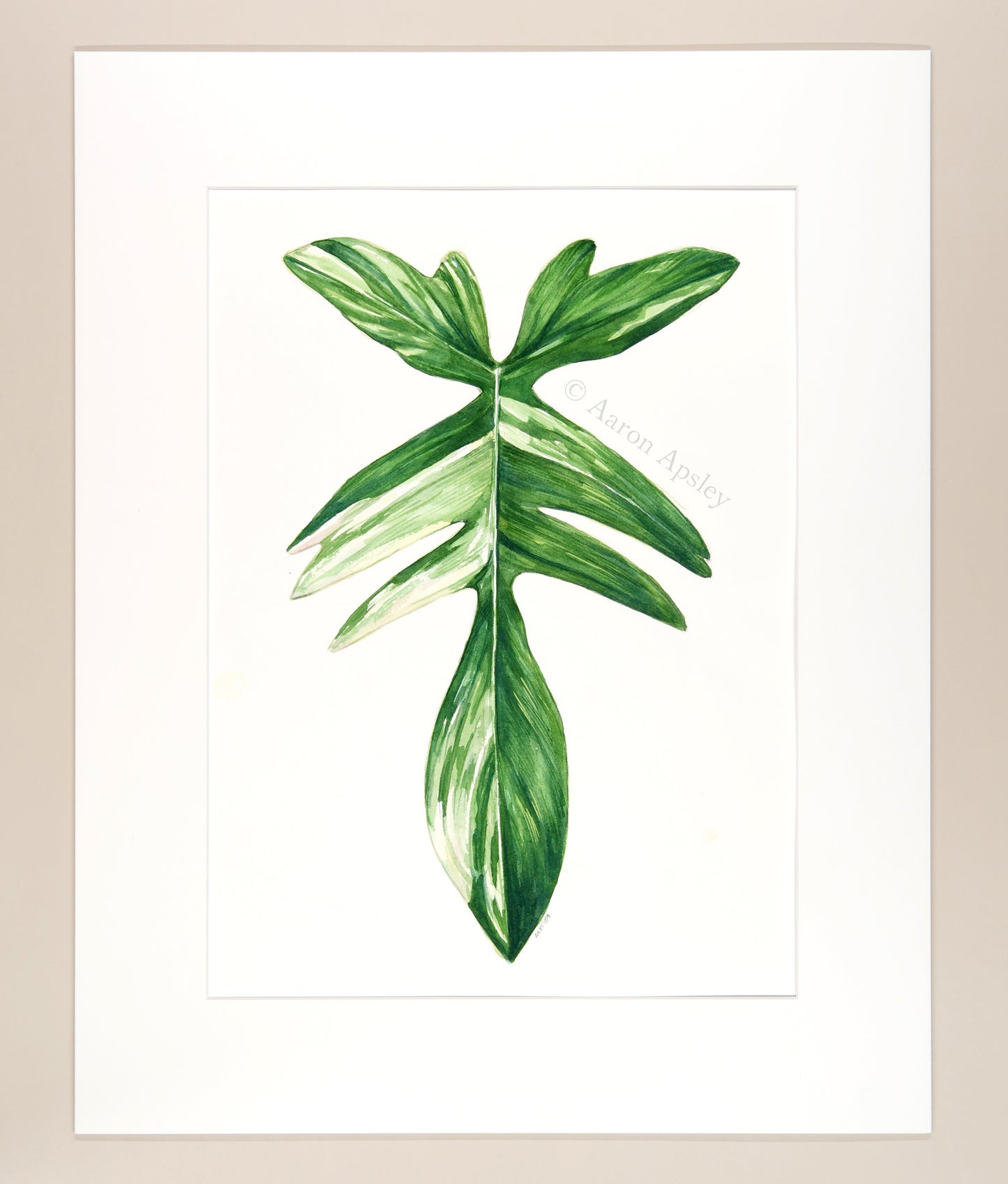 Philodendron 'Florida Beauty' - Original Watercolor