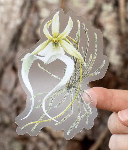 Ghost Orchid Sticker