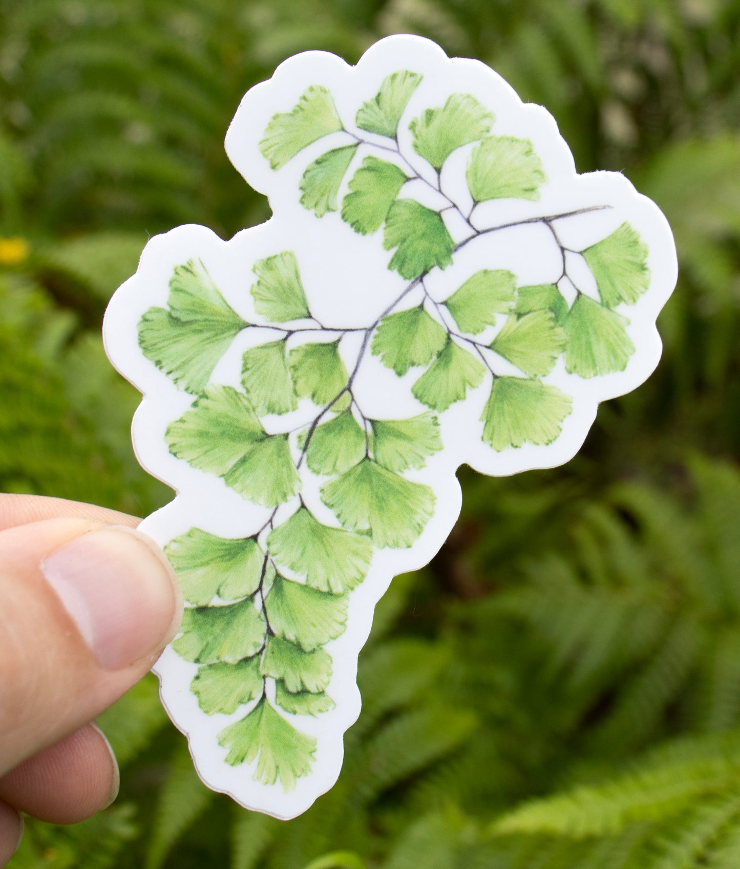 Maidenhair Fern Sticker