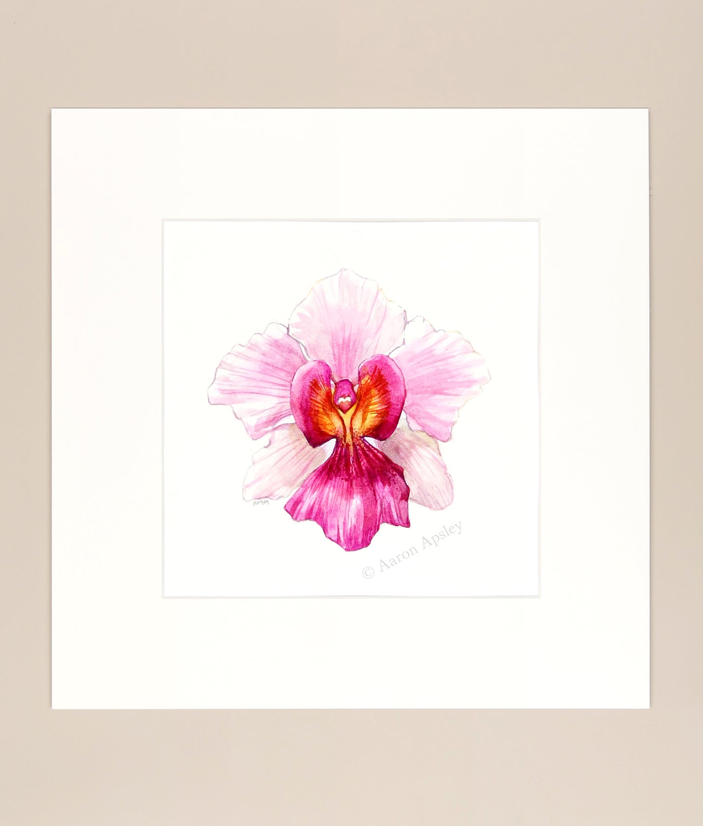 Papilionanthe Miss Joaquim - Original Watercolor