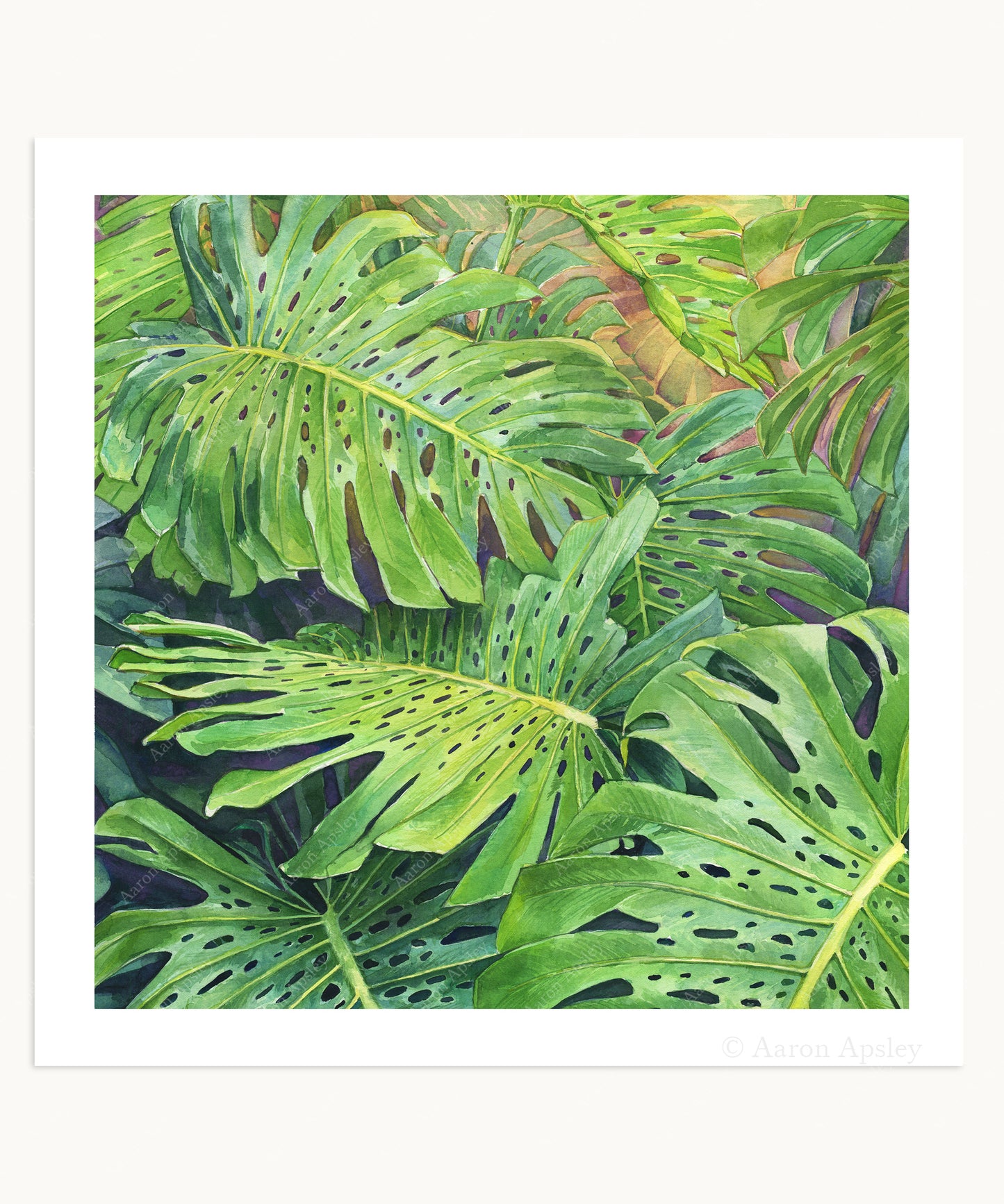 Monstera Leaves Print