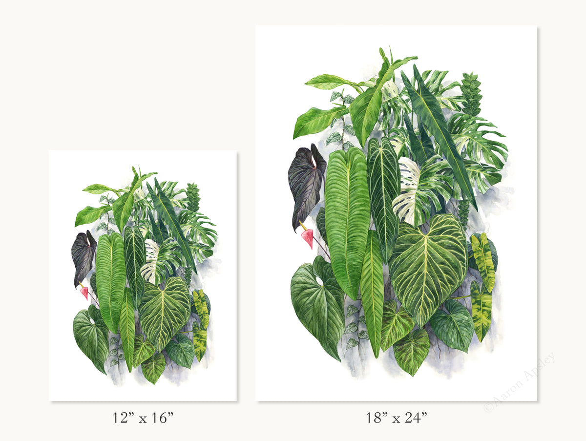 NSE Living Wall Print
