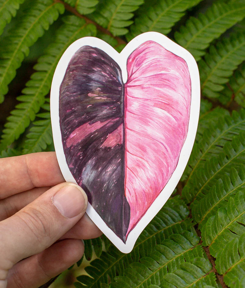 heart leaf philodendron pink Philodendron 'Pink Princess' Magnet – Aaron Apsley Artwork