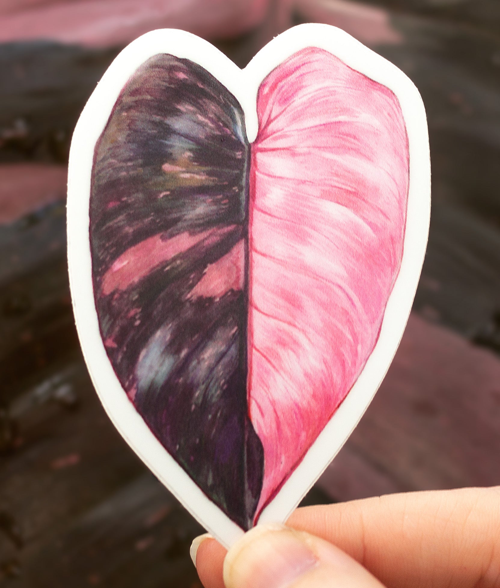 heart leaf philodendron pink Philodendron 'Pink Princess' Sticker – Aaron Apsley Artwork