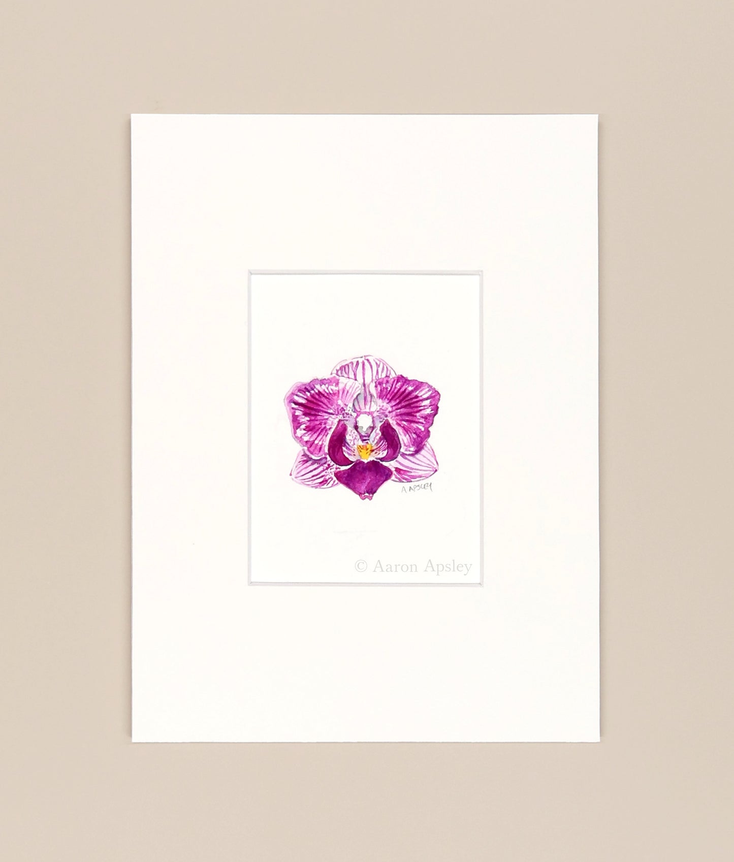 Phalaenopsis Sogo Vivien - Original Watercolor