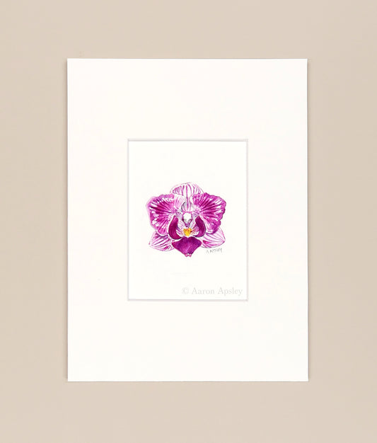 Phalaenopsis Sogo Vivien  - Original Watercolor