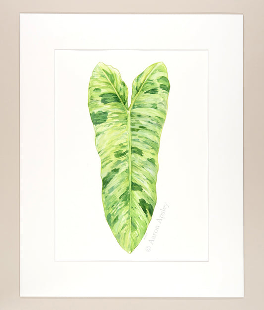 Philodendron paraiso verde - Original Watercolor