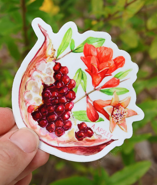 Pomegranate Sticker