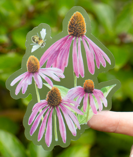 Coneflowers Sticker