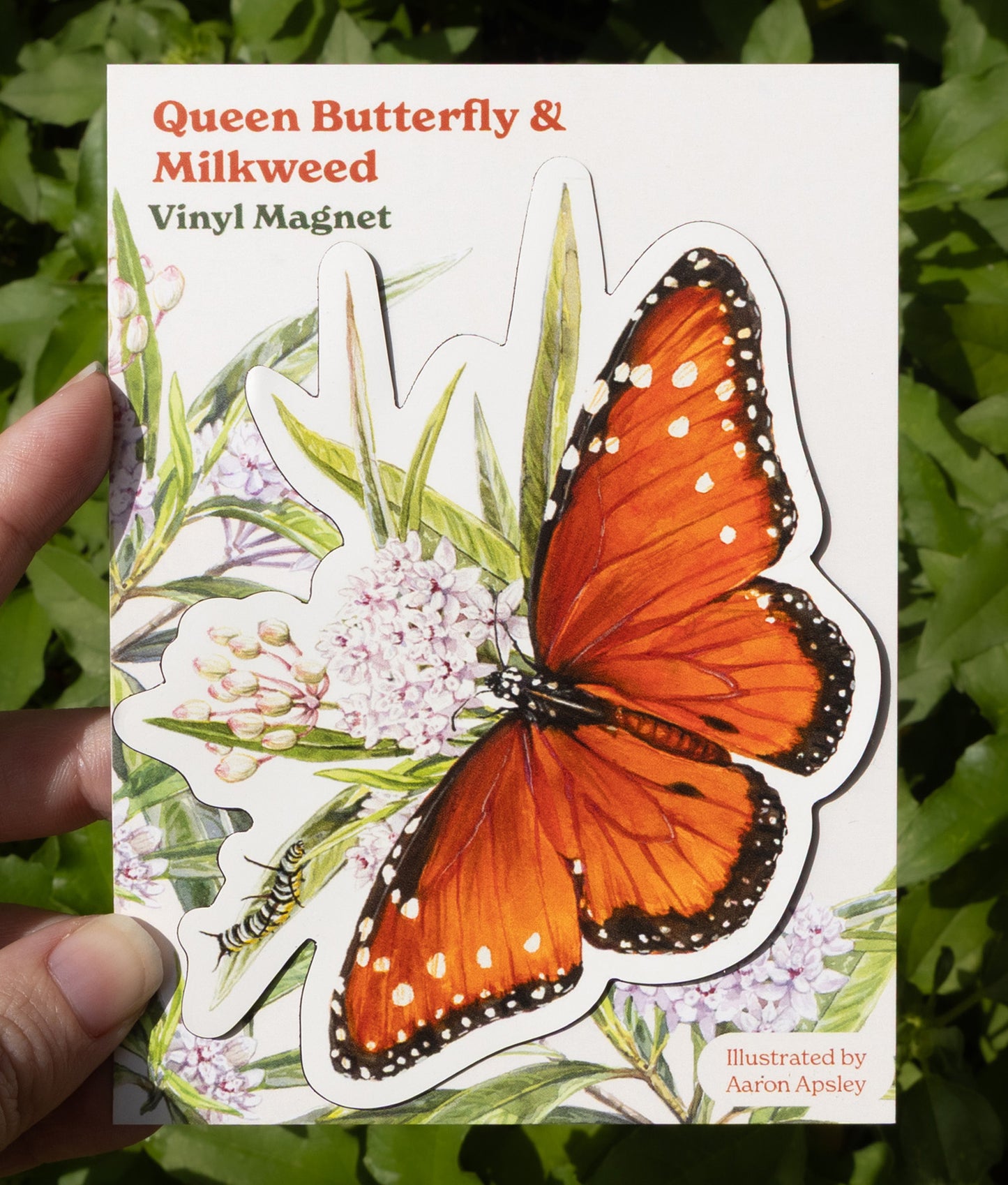 Queen Butterfly Magnet