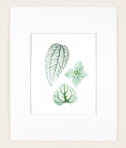 Mini Silver Leaves - Original Watercolor