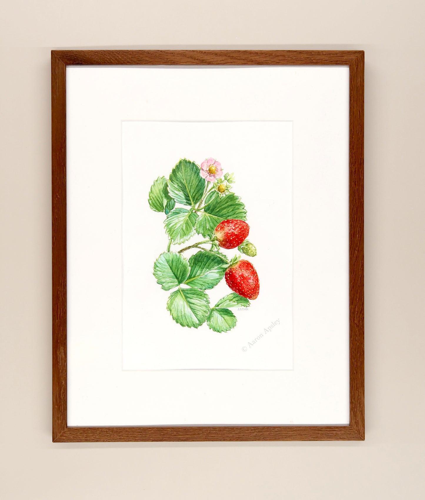 Strawberries - Framed Original Watercolor