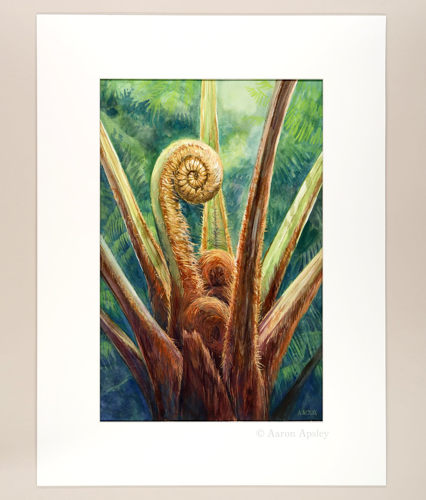 Tree Fern - Original Watercolor