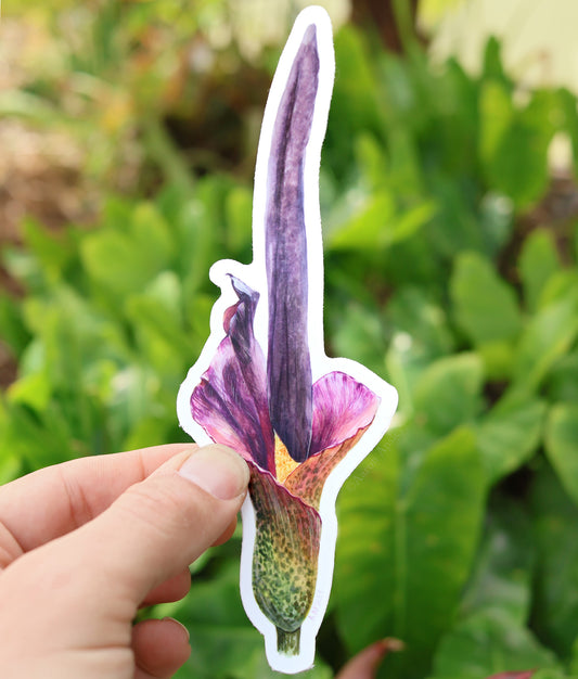 Amorphophallus konjac Sticker