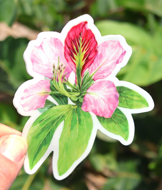 Bauhinia Sticker