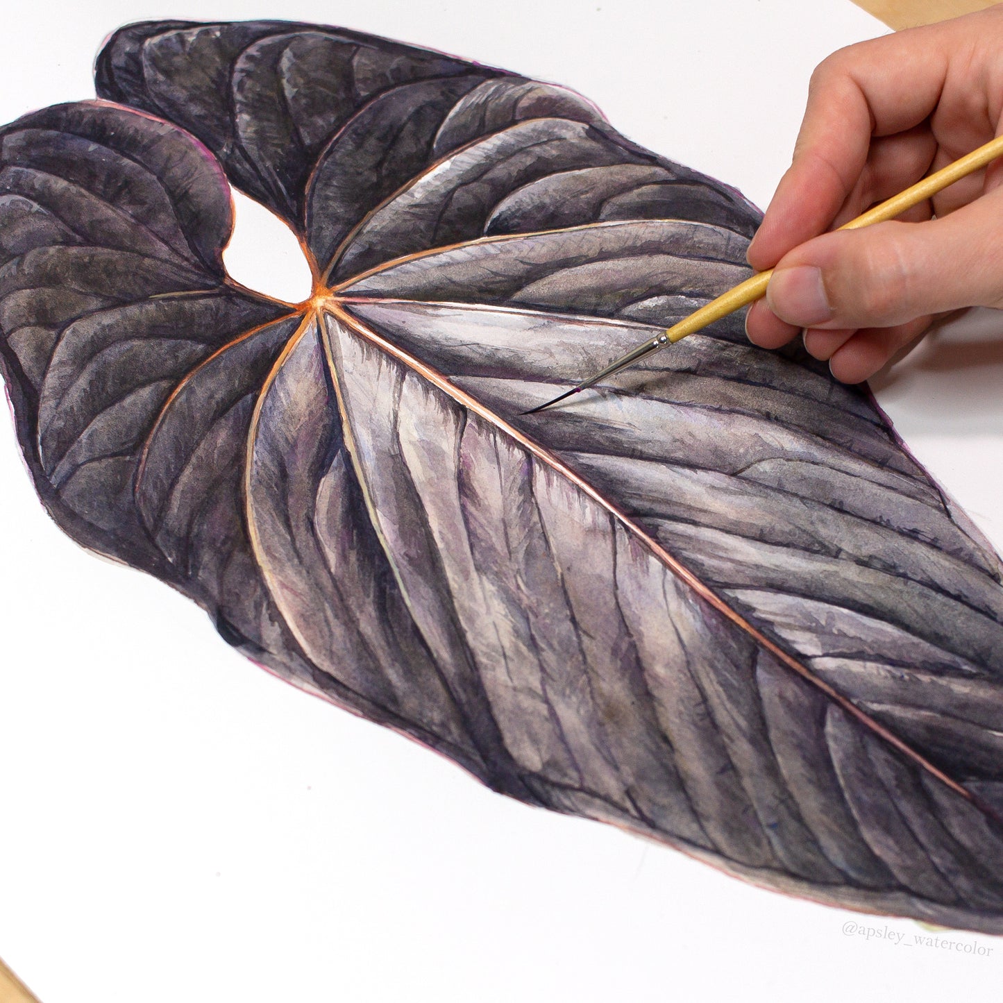 Anthurium moodeanum - Original Watercolor