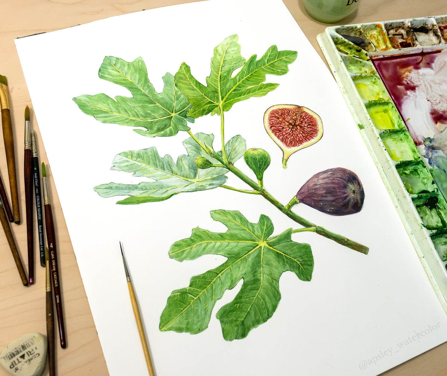 Ficus carica - Original Watercolor