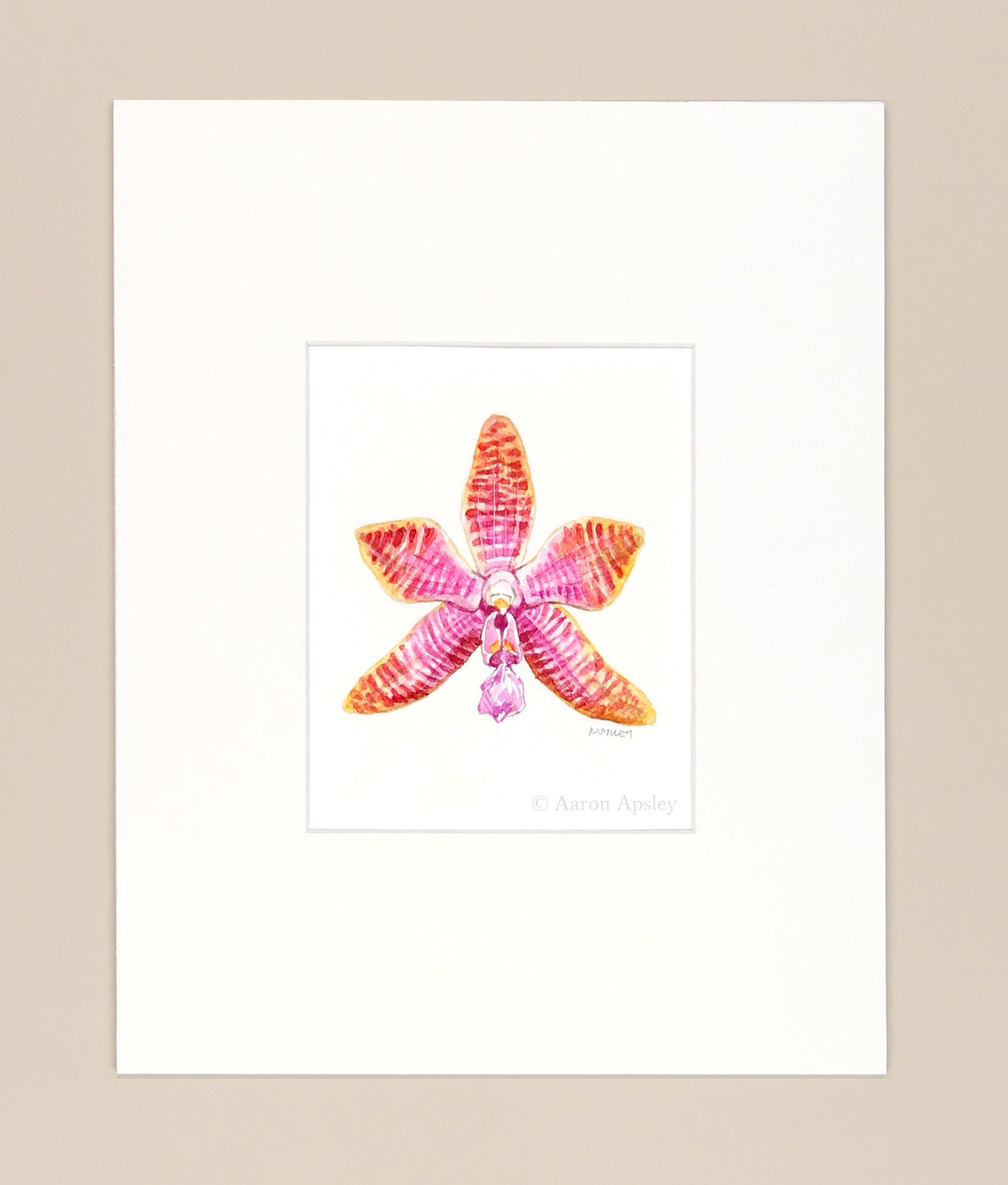 Phalaenopsis lueddemanniana - Original Watercolor