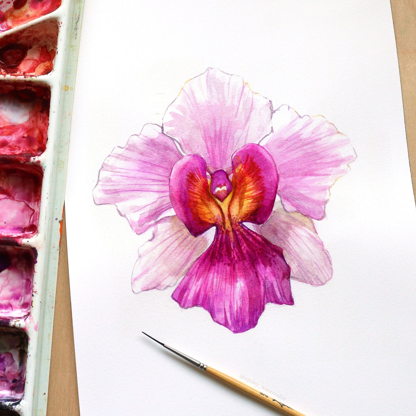 Papilionanthe Miss Joaquim - Original Watercolor