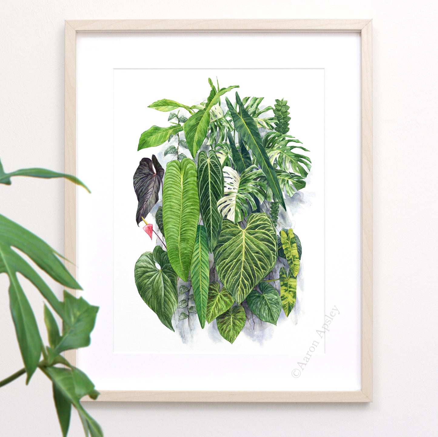 NSE Living Wall Print