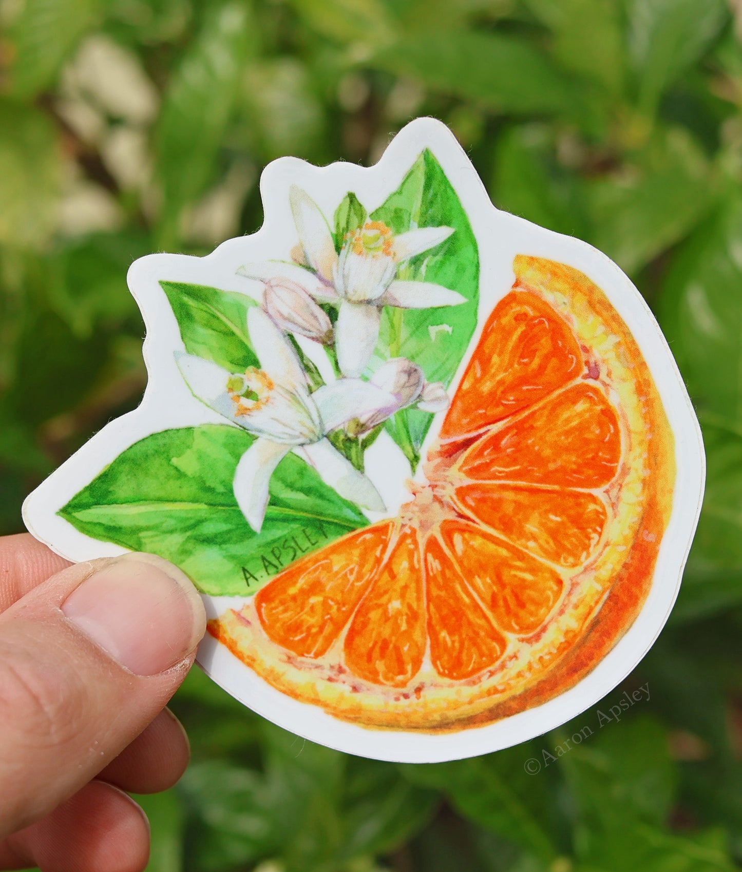 Orange Sticker