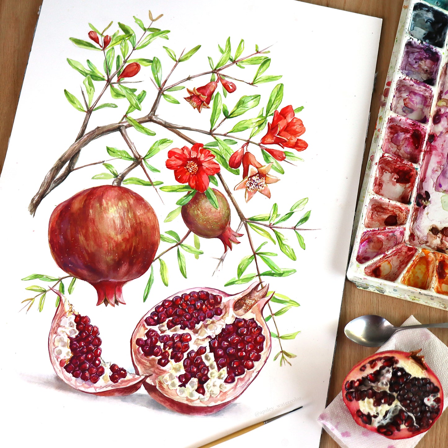 Pomegranate - Original Watercolor