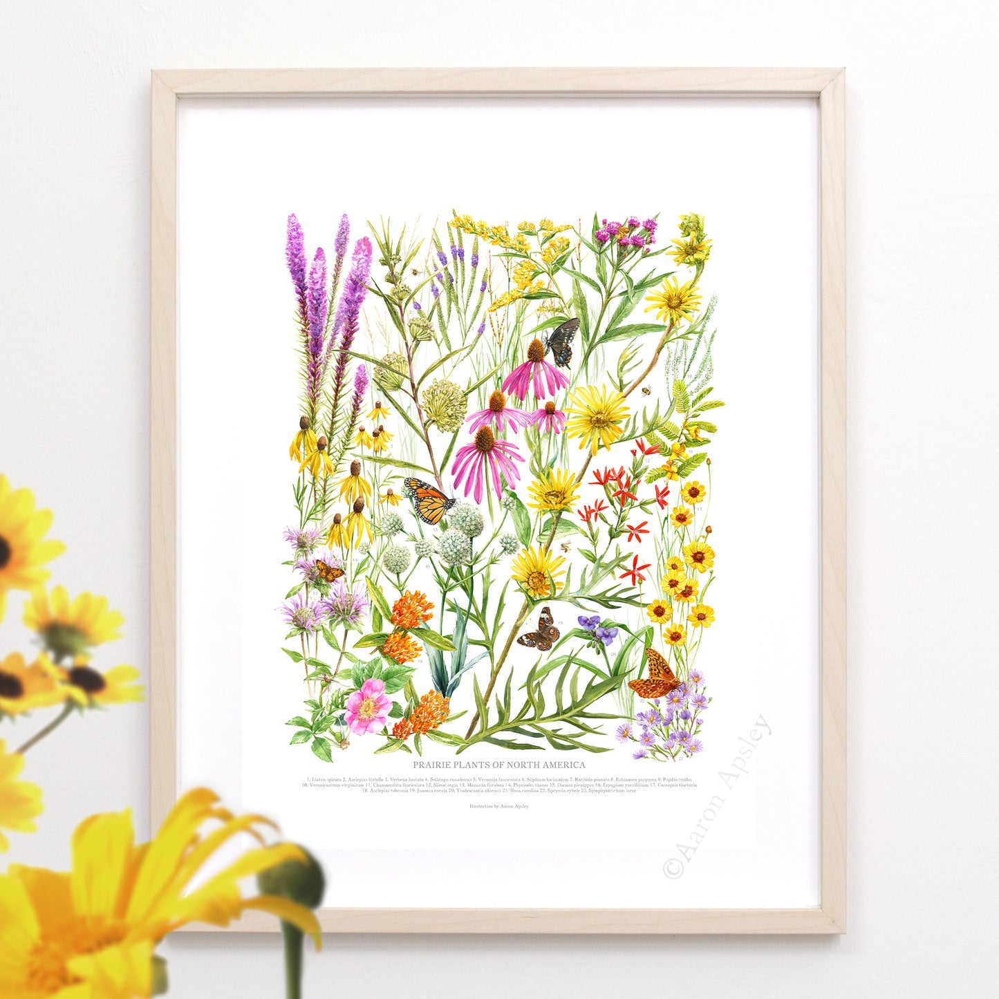 Prairie Wildflowers Print