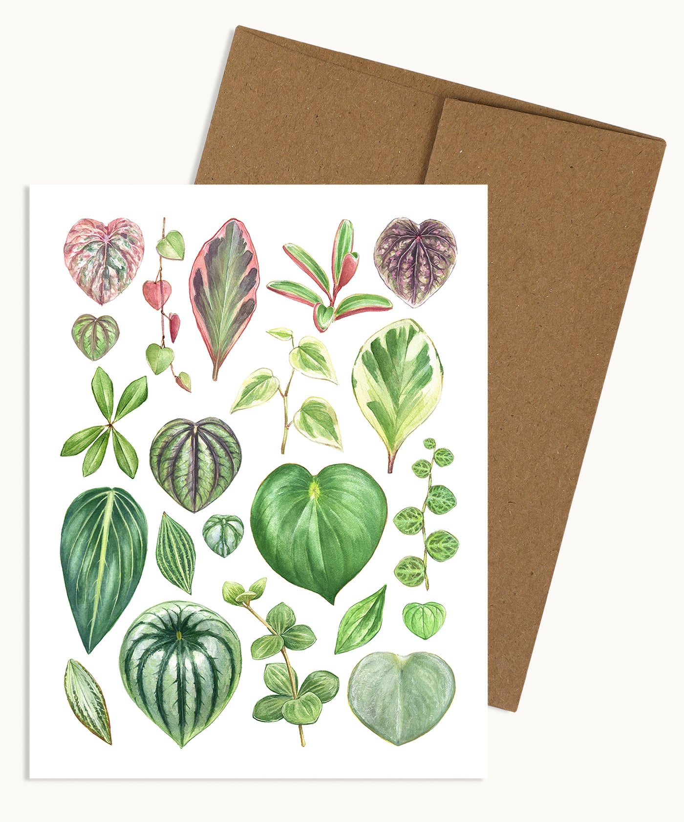 Peperomia Species Notecard