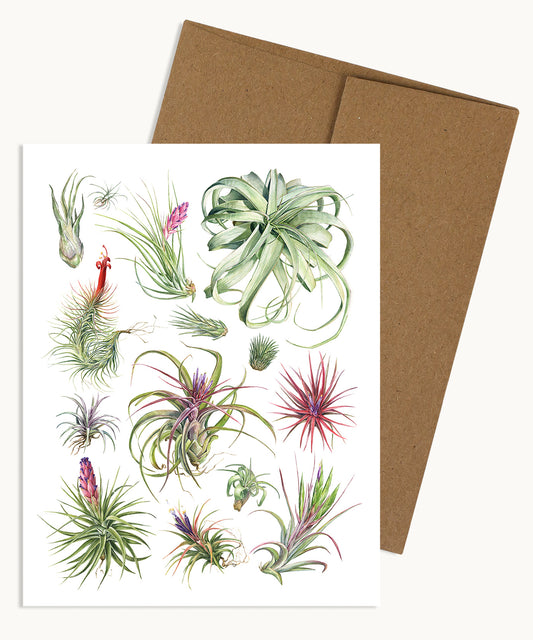 Tillandsia Notecard