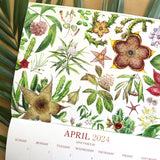 2024 Botanical Illustration Wall Calendar