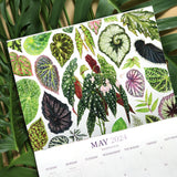 2024 Botanical Illustration Wall Calendar
