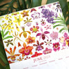 2024 Botanical Illustration Wall Calendar