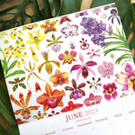 2024 Botanical Illustration Wall Calendar