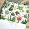 2024 Botanical Illustration Wall Calendar
