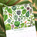 2024 Botanical Illustration Wall Calendar