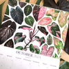 2024 Botanical Illustration Wall Calendar
