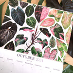 2024 Botanical Illustration Wall Calendar