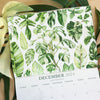 2024 Botanical Illustration Wall Calendar
