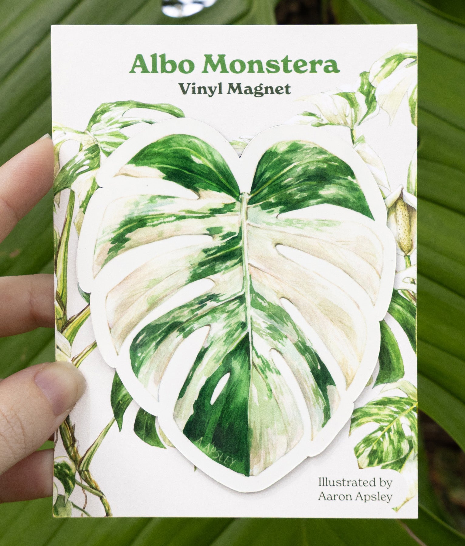 monstera album Albo Monstera Magnet