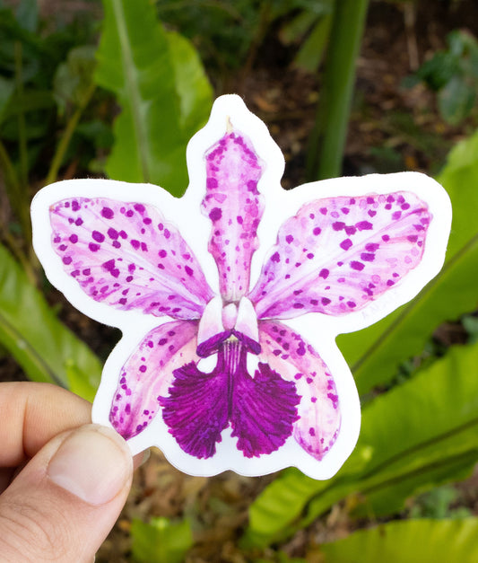 Cattleya amethystoglossa Sticker