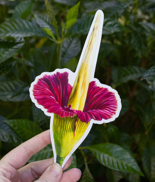 Corpse Flower Magnet
