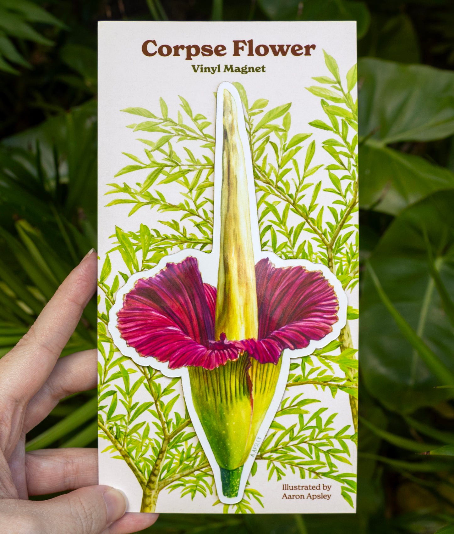 Corpse Flower Magnet