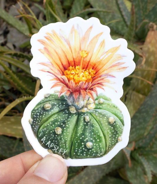 Astrophytum Sticker